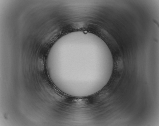 X0000103910558200809191304