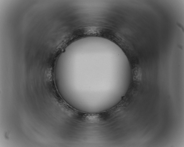 X0000103910560200809191304