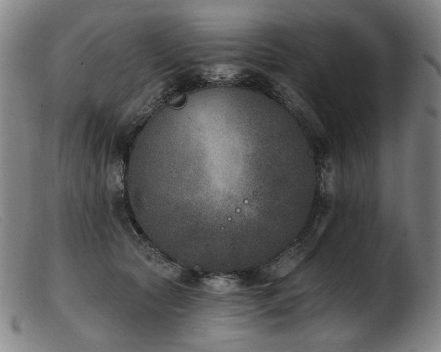 X0000103910561200809191304