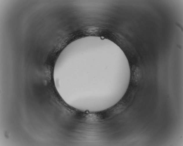 X0000103910562200809191304