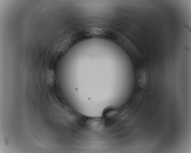 X0000103910563200809191304