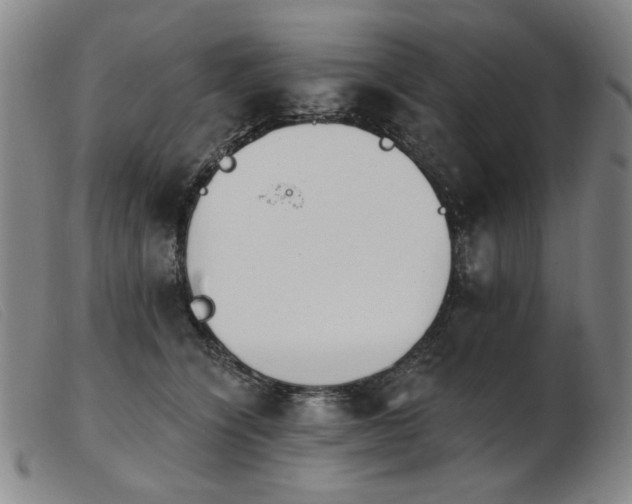 X0000103910564200809191304