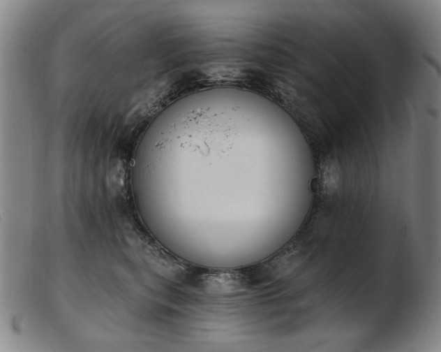 X0000103910567200809191305