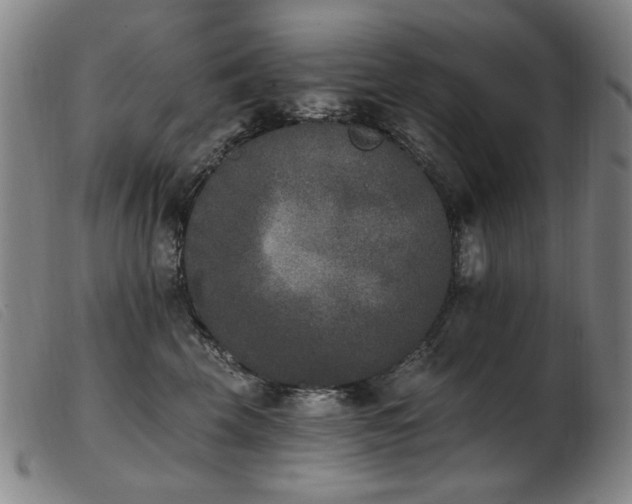 X0000103910569200809191305