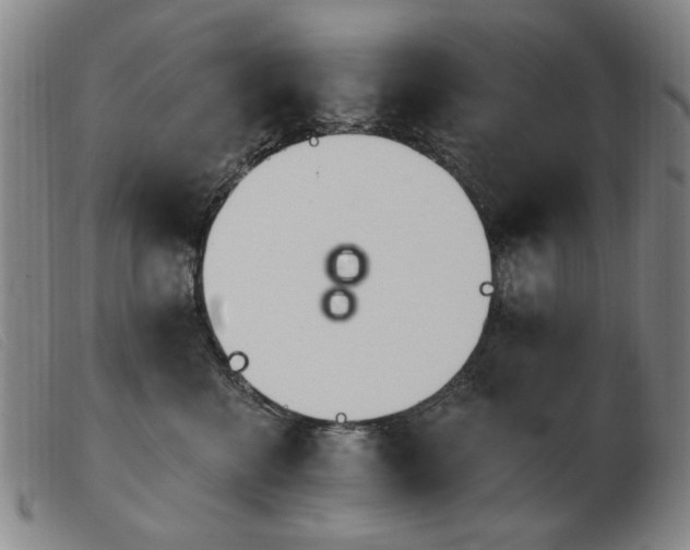 X0000103910570200809191305