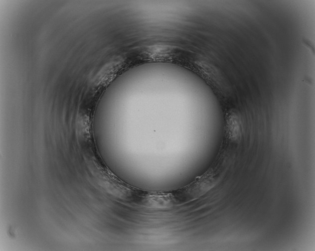 X0000103910571200809191305