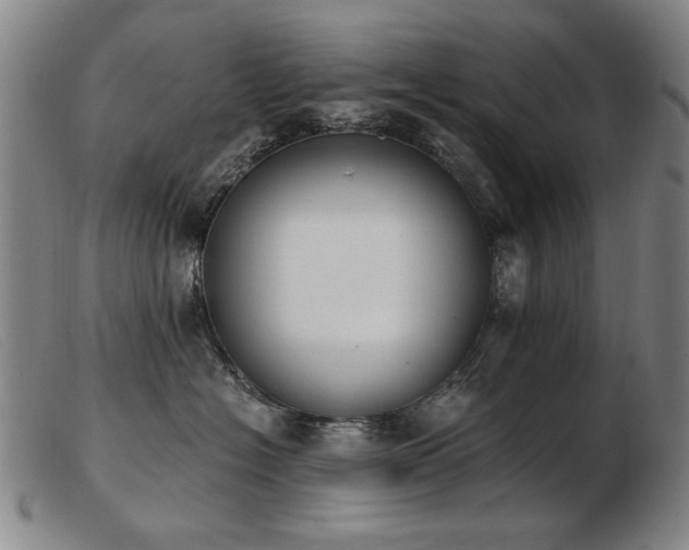 X0000103910574200809191305