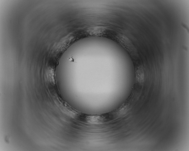 X0000103910575200809191305