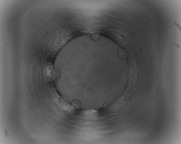 X0000103910576200809191305