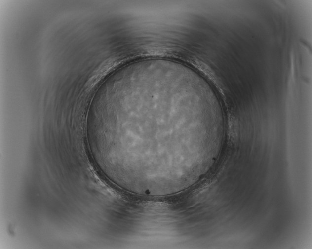 X0000103910577200809191304