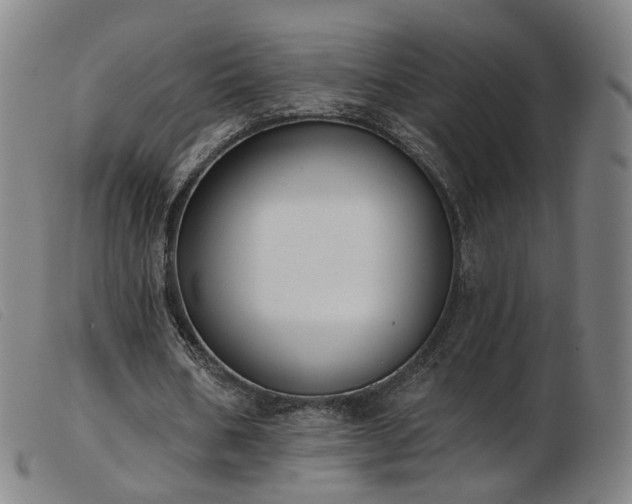 X0000103910578200809191304