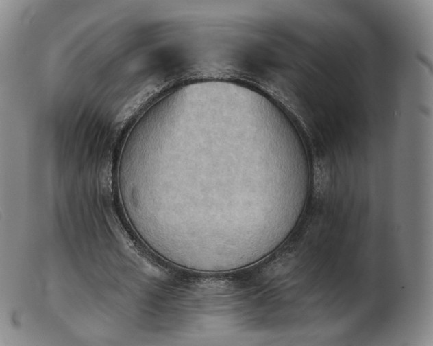 X0000103910581200809191304