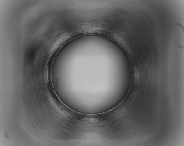 X0000103910582200809191304