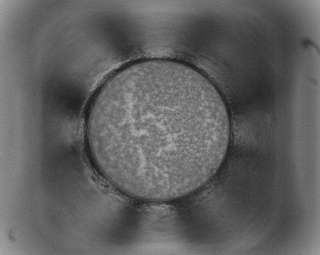 X0000103910583200809191304