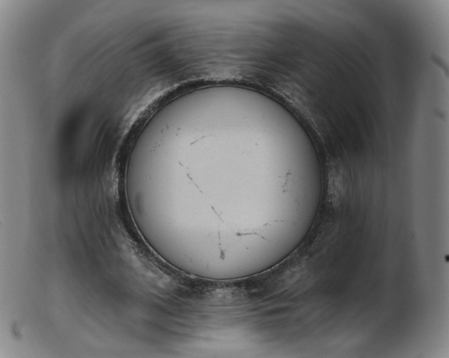 X0000103910584200809191304