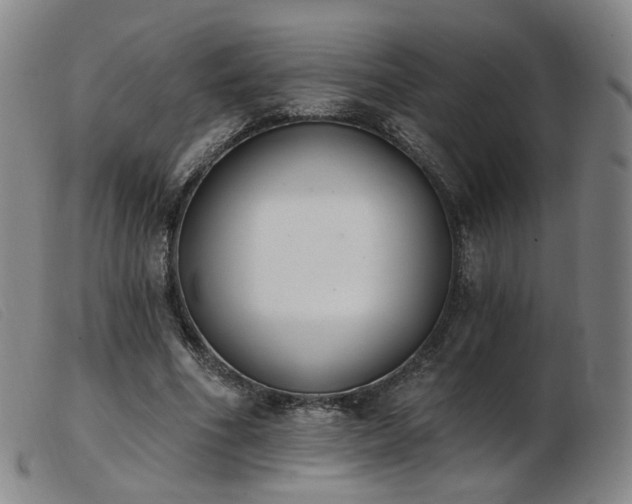 X0000103910586200809191304
