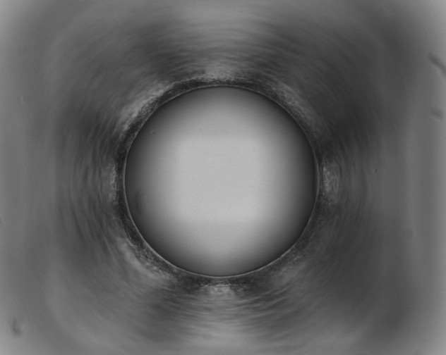 X0000103910588200809191304
