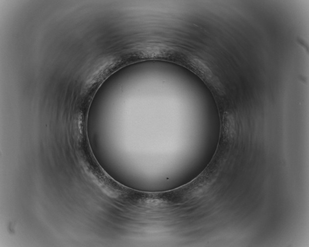 X0000103910590200809191304