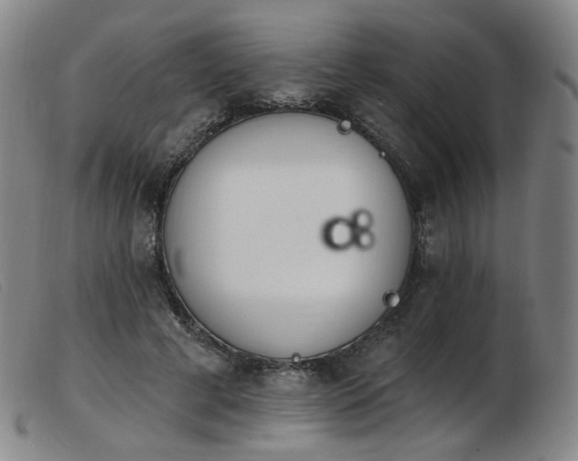 X0000103910593200809191304