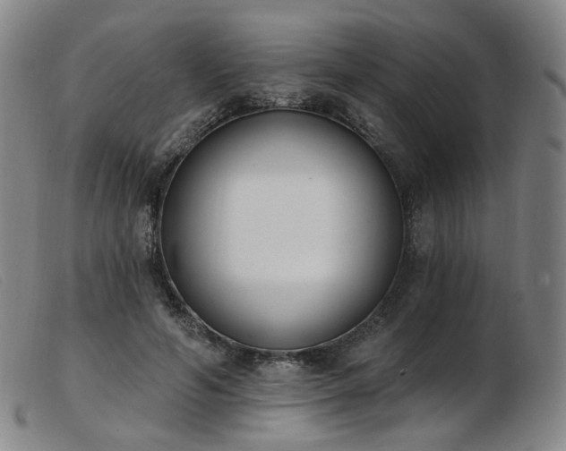 X0000103910594200809191304