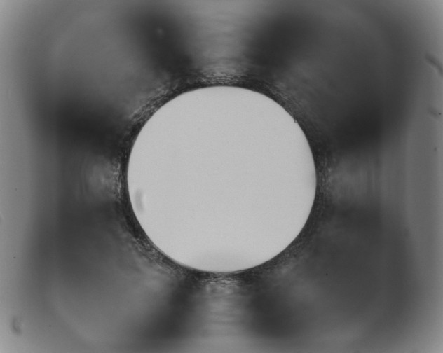 X0000103910599200809191304