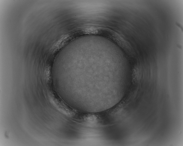 X0000103910600200809191304