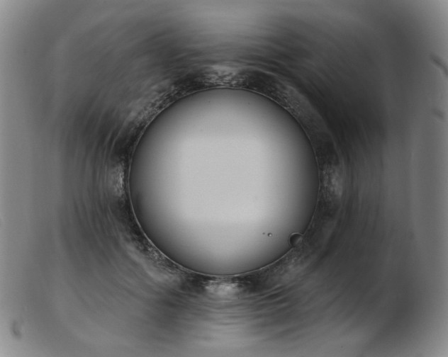 X0000103910602200809191304