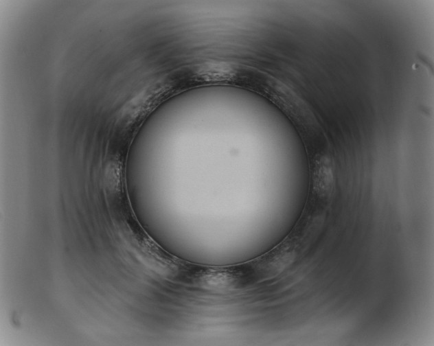X0000103910604200809191304