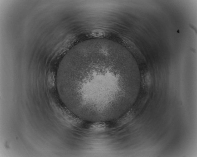 X0000103910606200809191304
