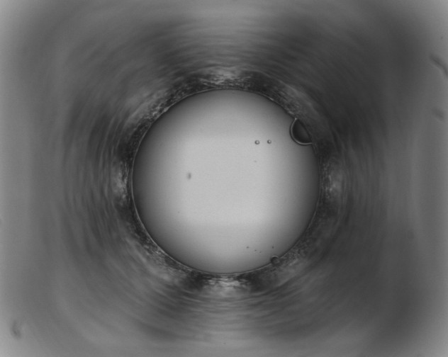 X0000103910607200809191304
