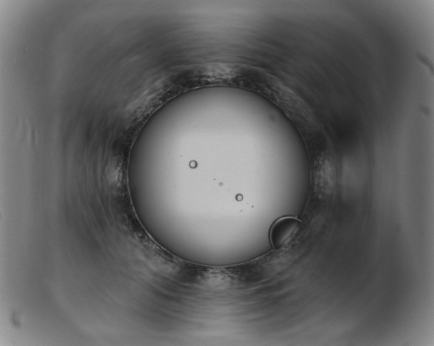 X0000103910608200809191304