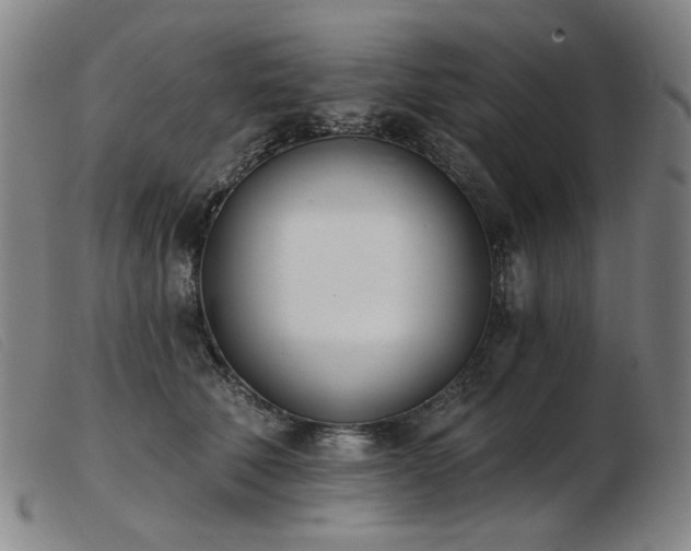 X0000103910610200809191304