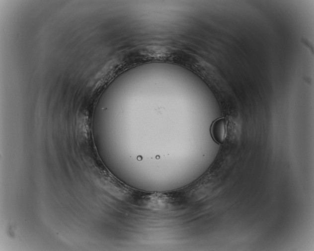 X0000103910612200809191303