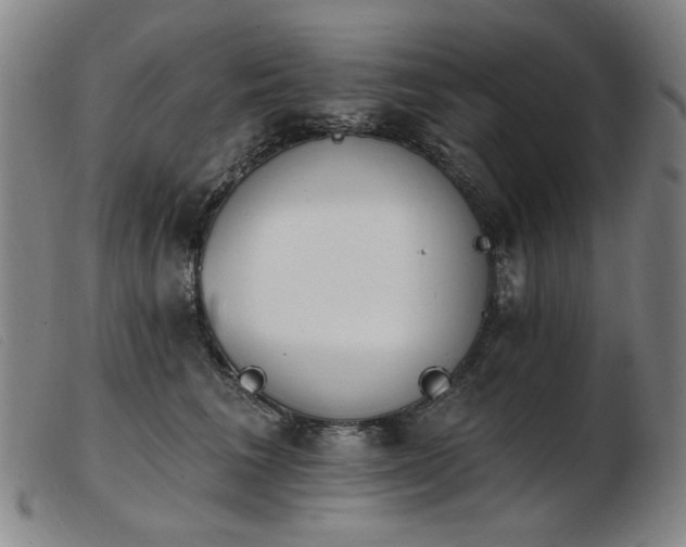 X0000103910613200809191303
