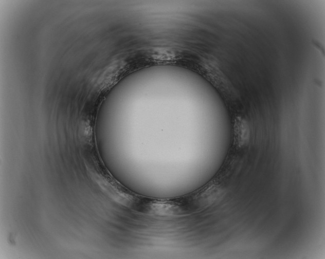 X0000103910614200809191303