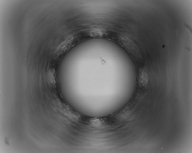 X0000103910616200809191303