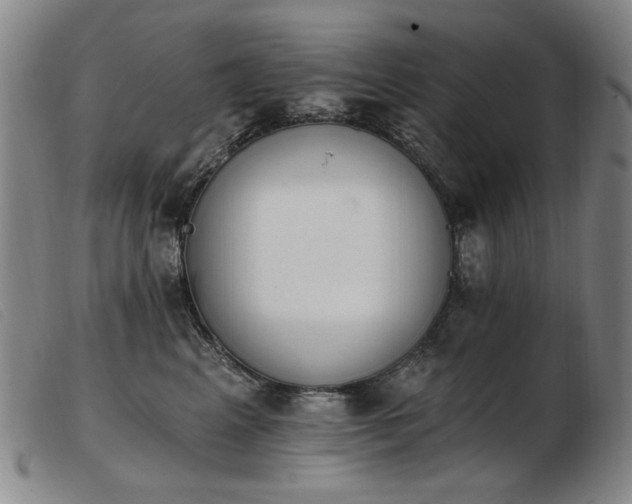 X0000103910617200809191303
