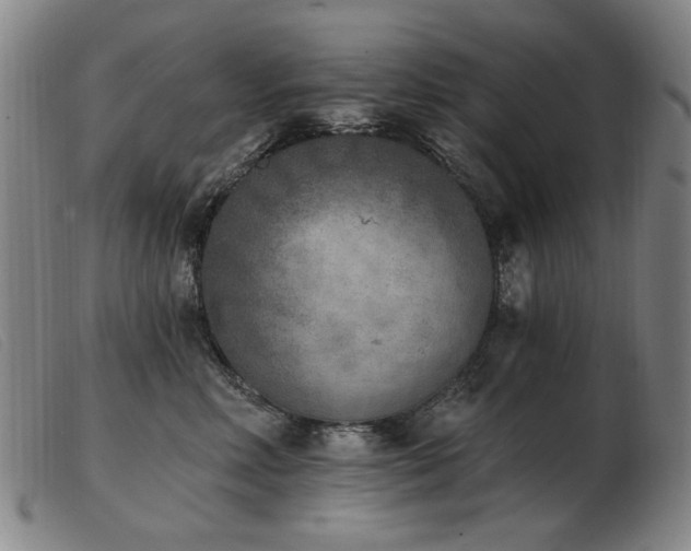 X0000103910618200809191303