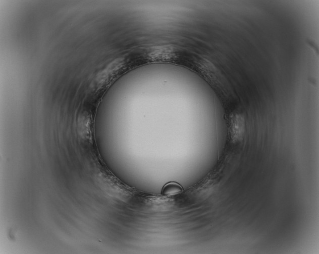X0000103910619200809191303