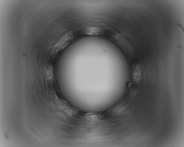 X0000103910620200809191303