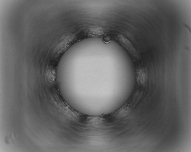 X0000103910621200809191303