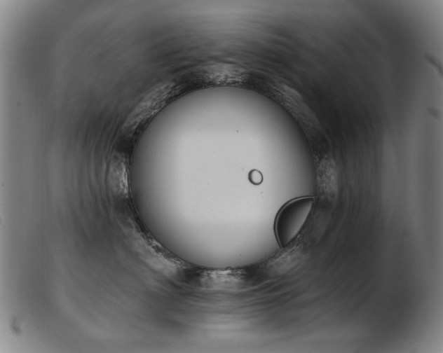X0000103910622200809191303