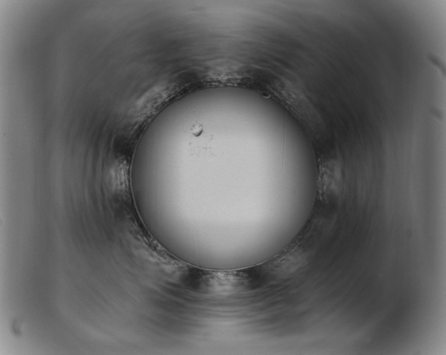 X0000103910623200809191303