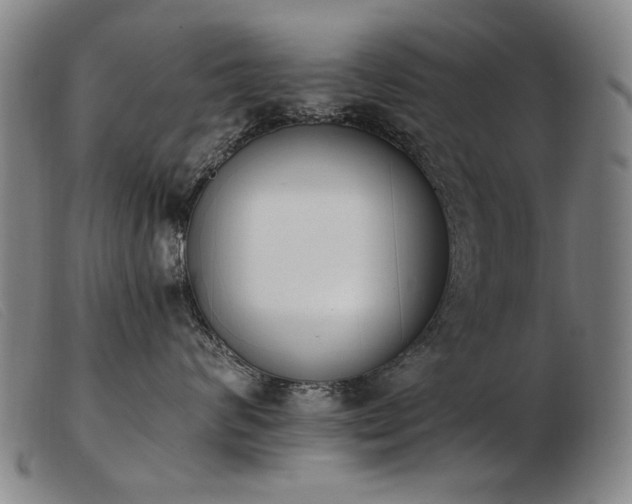 X0000103910624200809191303