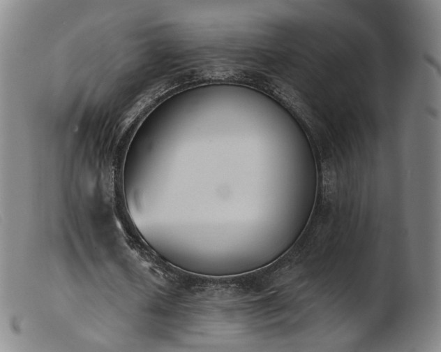 X0000103910626200809191303