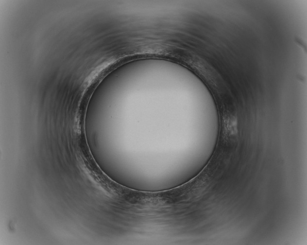 X0000103910628200809191303