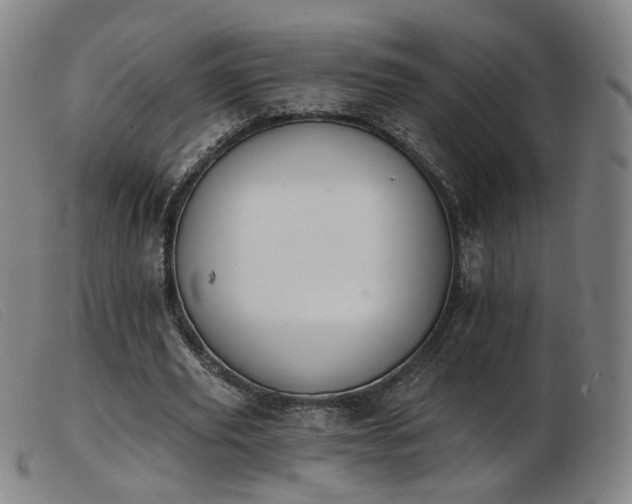 X0000103910629200809191303