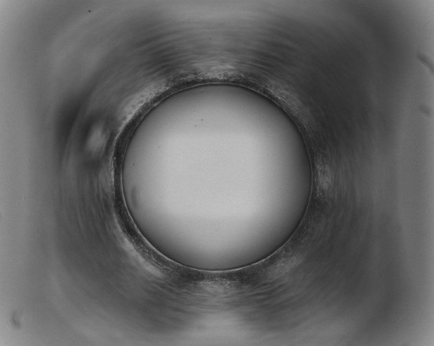 X0000103910630200809191303