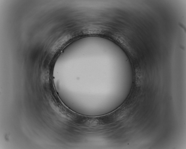 X0000103910631200809191303