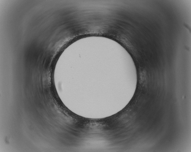 X0000103910632200809191303